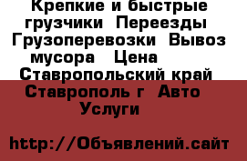 Крепкие и быстрые грузчики. Переезды. Грузоперевозки. Вывоз мусора › Цена ­ 250 - Ставропольский край, Ставрополь г. Авто » Услуги   